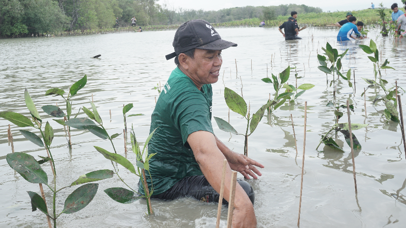 Gambar Monitoring