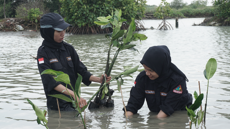 Gambar Monitoring