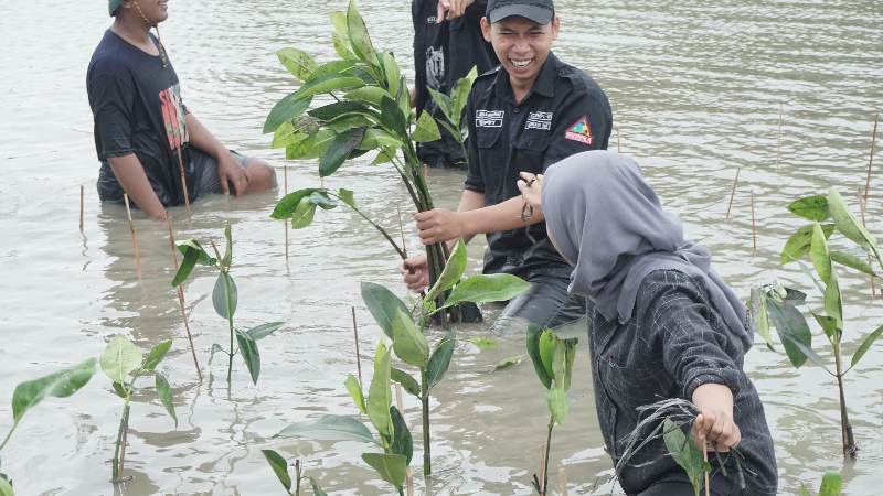 Gambar Monitoring