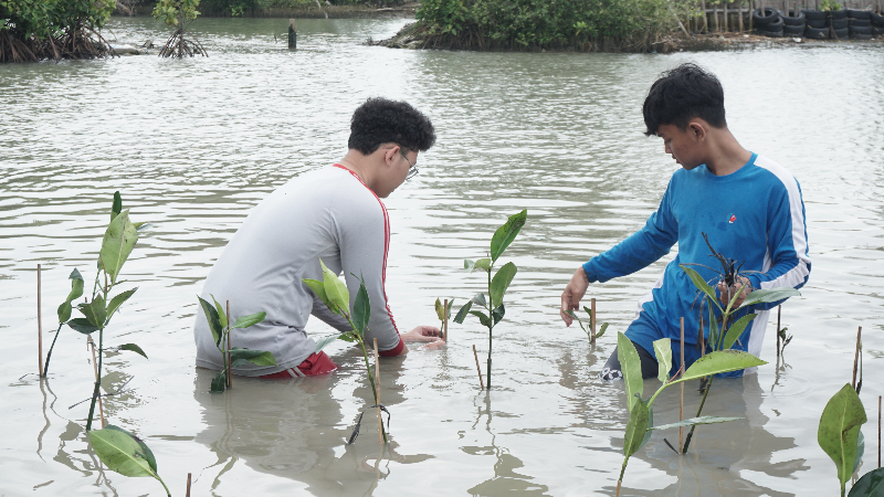 Penanaman kampanye alam "Lee Je Hoon's Trees" telah dilaksanakan pada 18 Februari 2023 di Pesisir Pantai Kartika Jaya, Kendal.