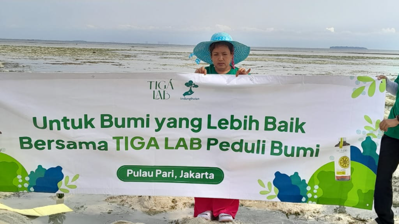 Gambar Monitoring