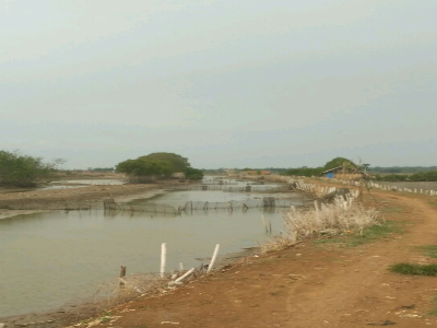 Gambar Monitoring