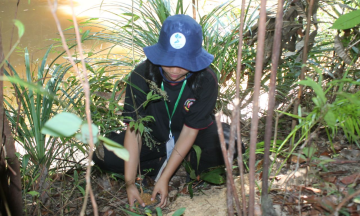 Gambar Monitoring