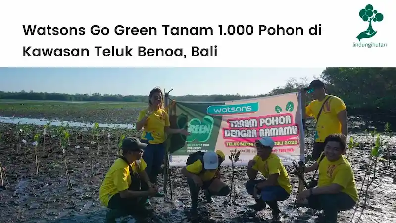 Gambar Artikel