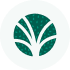 Icon Impact Report