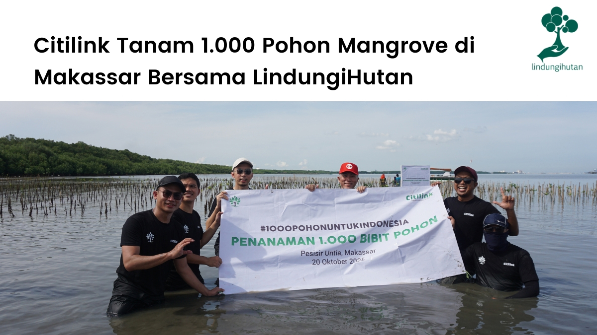 Citilink Plant 1.000 Mangroves in Makassar