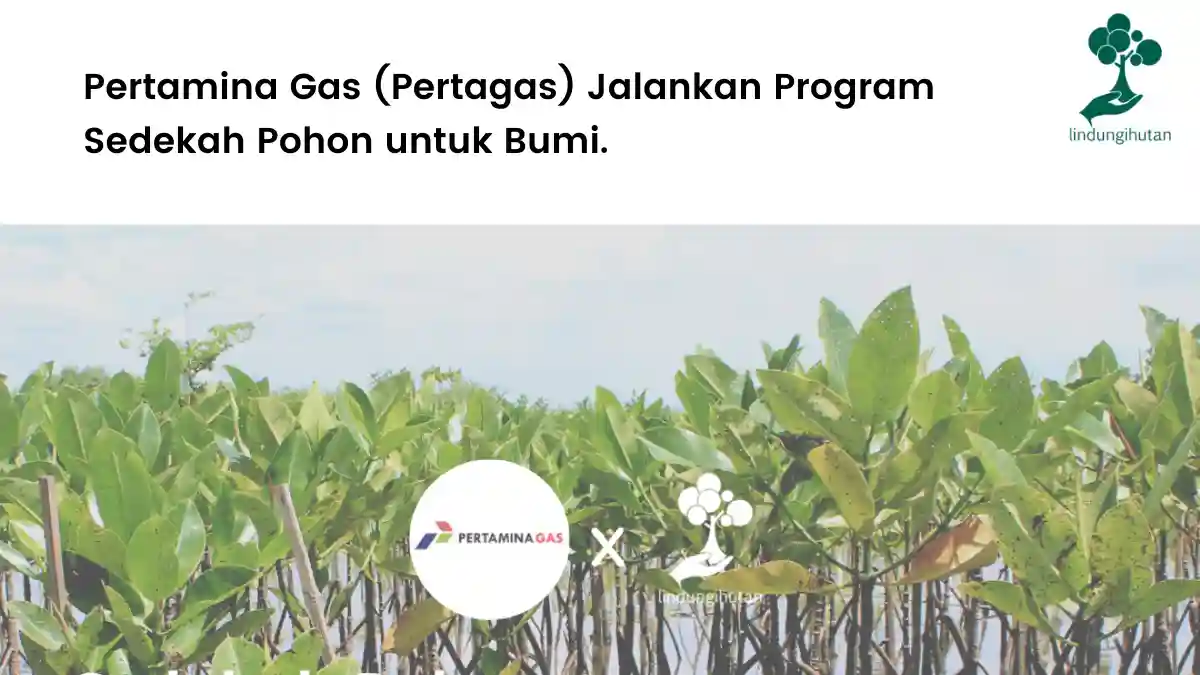Pertamina Gas (Pertagas) Jalankan Program Sedekah Pohon untuk Bumi
