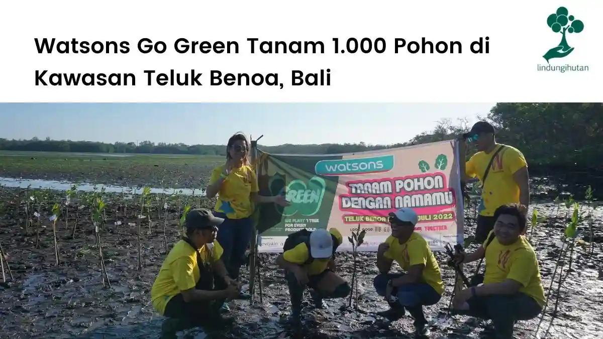 Watsons Indonesia Menanam Ribuan Pohon di Bali