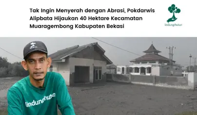 Usaha Pokdarwis Alipbata Hijaukan Lagi Muaragembong