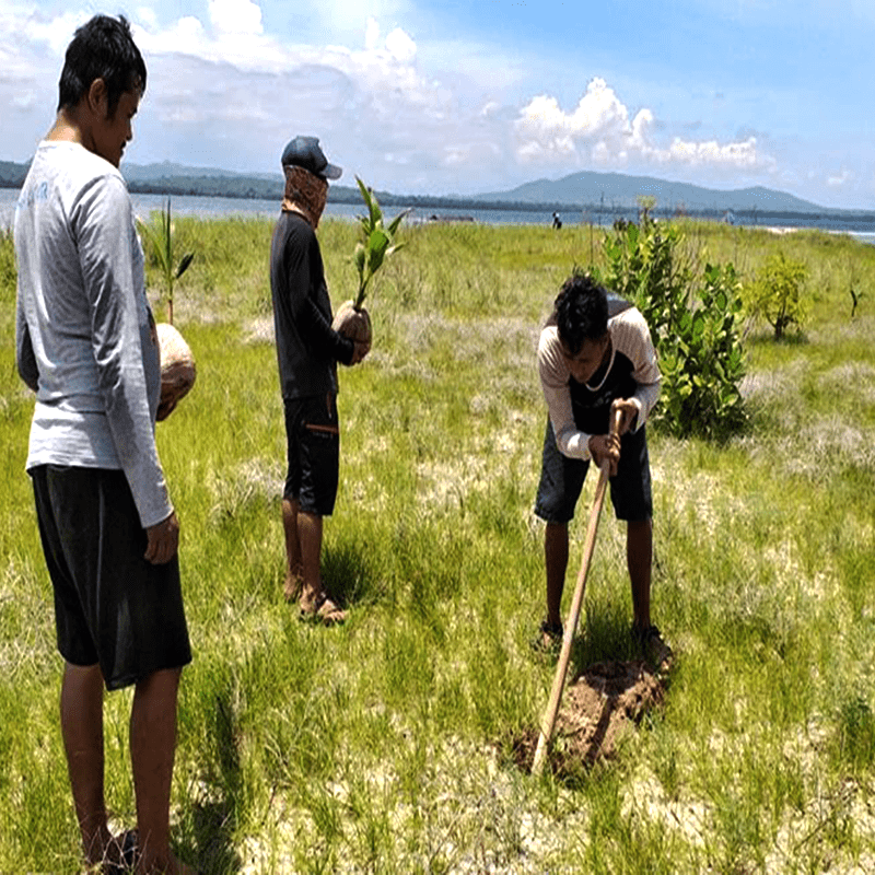 Kegiatan penanaman pohon di Gili Dangar Ode yang dilakukan saat RawatBumi pada 21 April 2019
