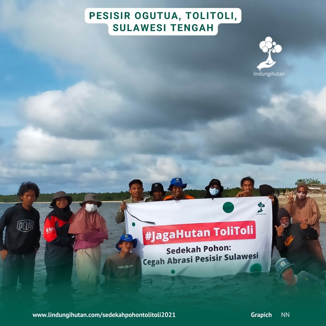 Foto dokumentasi penanaman pohon pada kampanye alam Sedekah Pohon di kab. ToliToli, Sulawesi Tengah oleh mitra penghijauan LindungiHutan.
