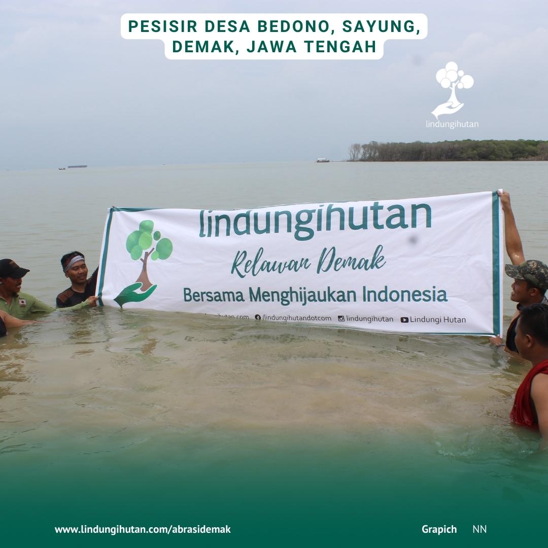 Foto dokumentasi kegiatan penanaman untuk cegah abrasi Demak