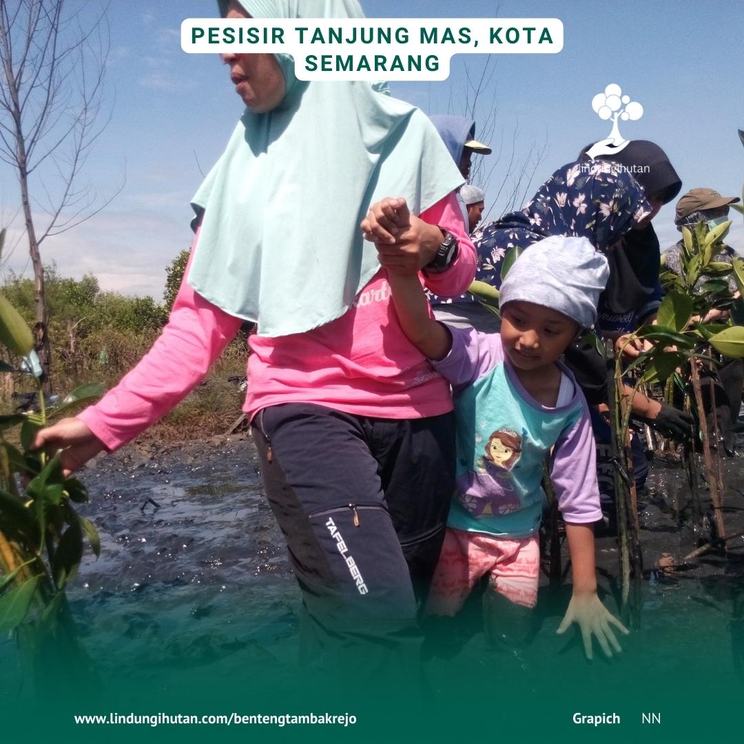 Dokumentasi penghijauan untuk cegah abrasi Semarang.