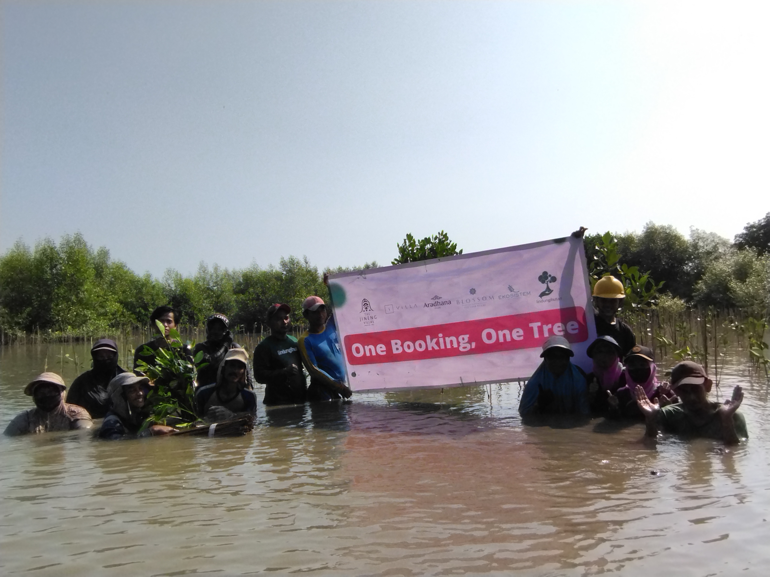 Penanaman mangrove di Bekasi.