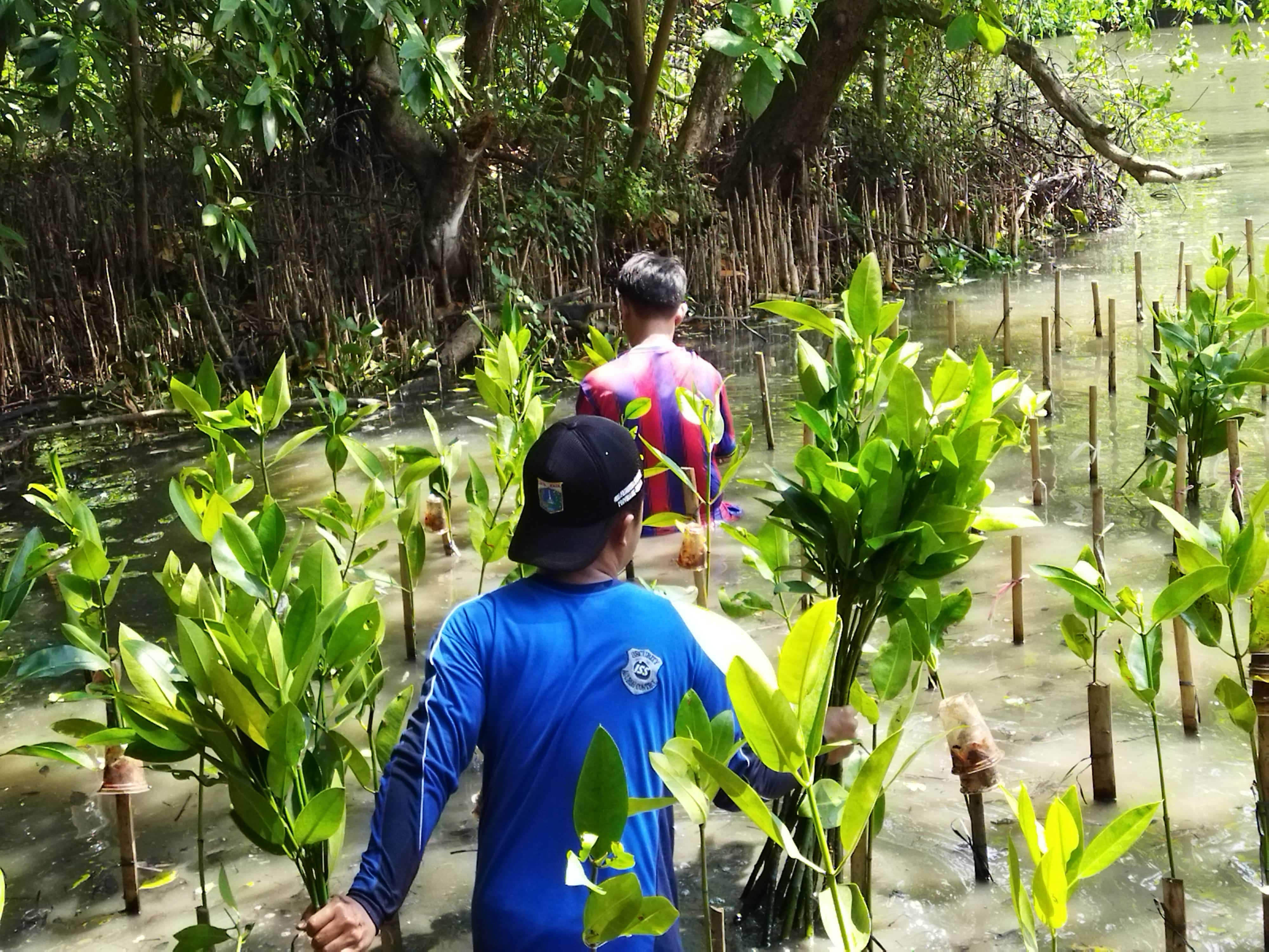 Program #SedekahPohon Jakarta di tahun 2022 telah dilaksanakan di ekowisata hutan mangrove PIK, Jakarta.