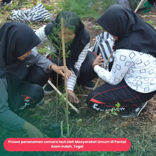 Penanaman cemara laut Pertamina TBBM Tegal bersama masyarakat
