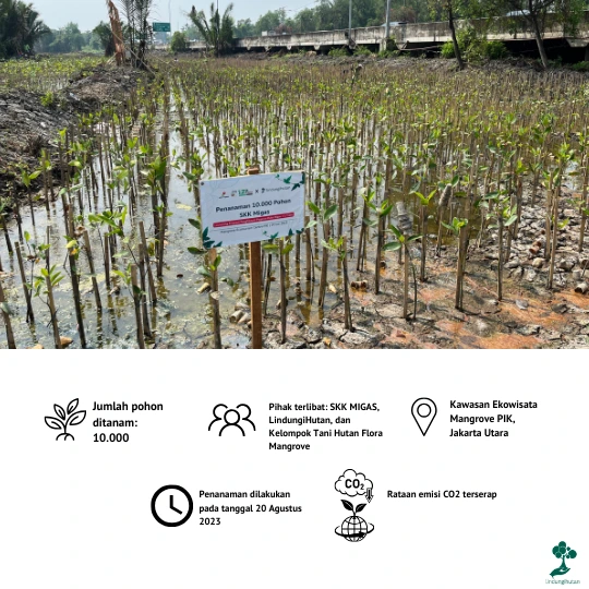 Kawasan Ekowisata Mangrove PIK Gambar