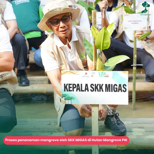 Program One Two Trees SKK Migas