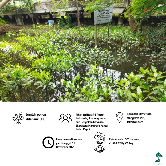 Kawasan Ekowisata Hutan Mangrove PIK Gambar