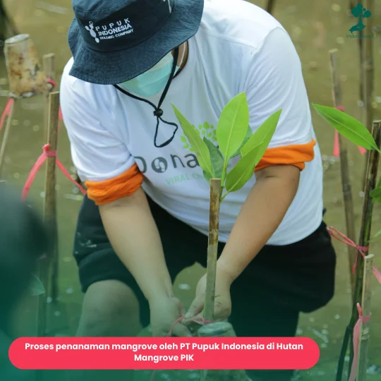 CSR BUMN Pupuk Indonesia