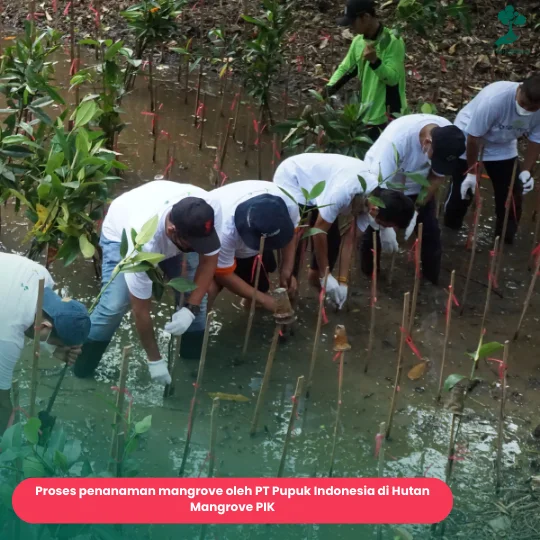 Program CSR BUMN PT Pupuk Indonesia