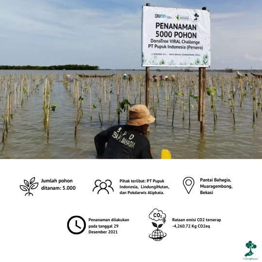 Kawasan mangrove Pantai Bahagia, Muaragembong, Bekasi