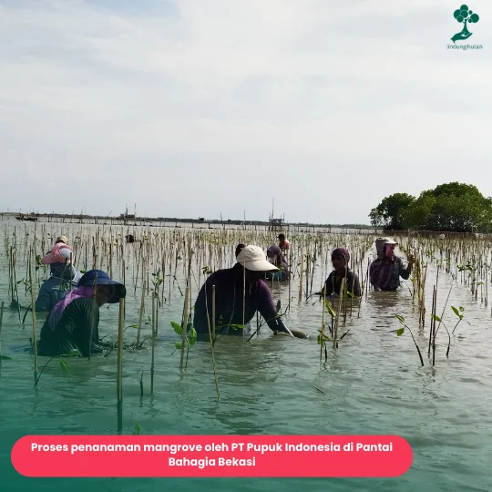 CSR BUMN PT Pupuk Indonesia