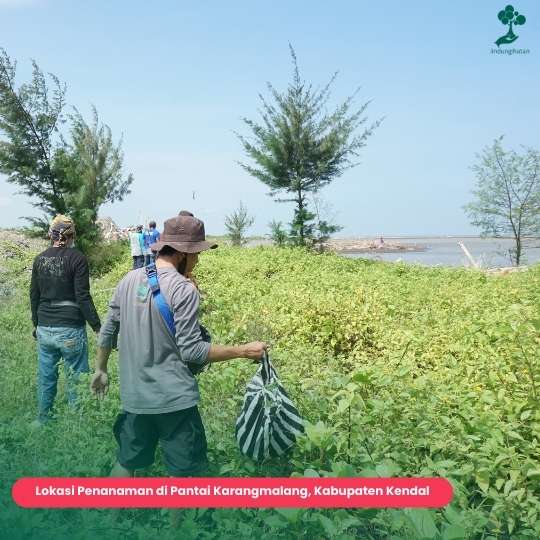 Pantai Karangmalang Kabupaten Kendal