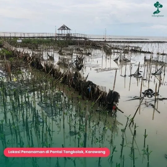 Pantai Tangkolak, Kabupaten Karawang