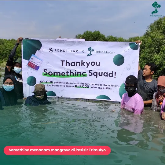 Somethinc squad menanam mangrove