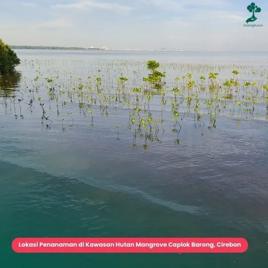 Pesisir Untia Makassar