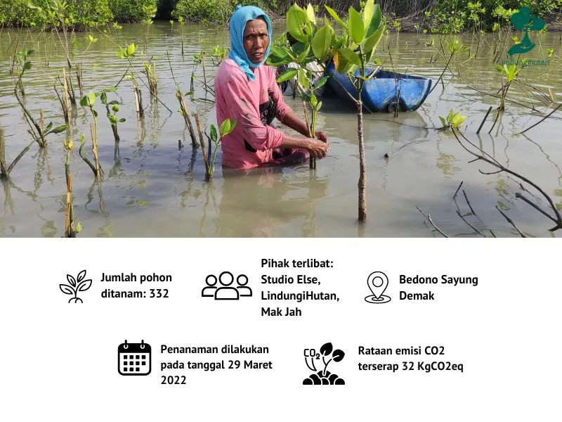 Penanaman mangrove Studio Else