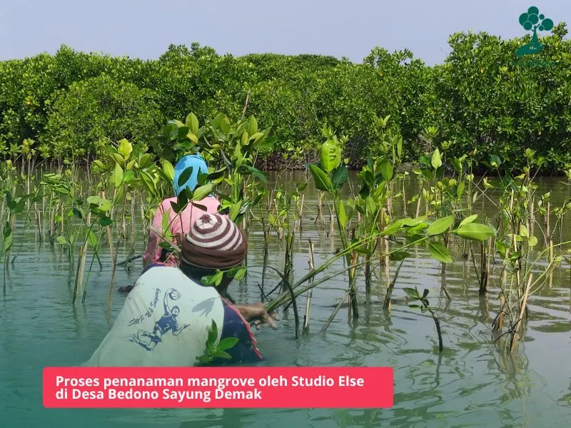 Desa Bedono Sayung Demak