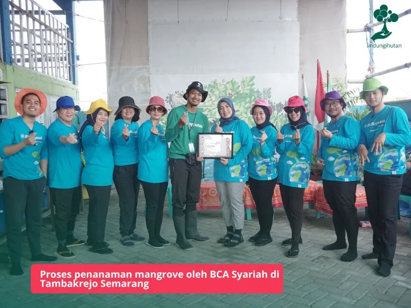 Program lingkungan BCA Syariah