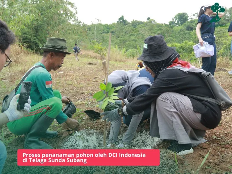 DCI Indonesia menanam 1.000 pohon