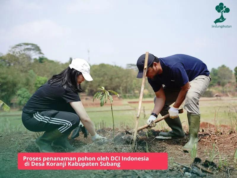 Program penghijauan PT DCI Indonesia Tbk