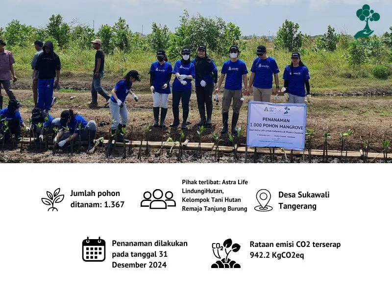 Astra life penanaman mangrove