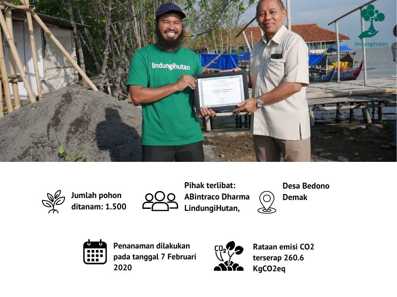 Penanaman mangrove PT Bintraco Dharma tbk