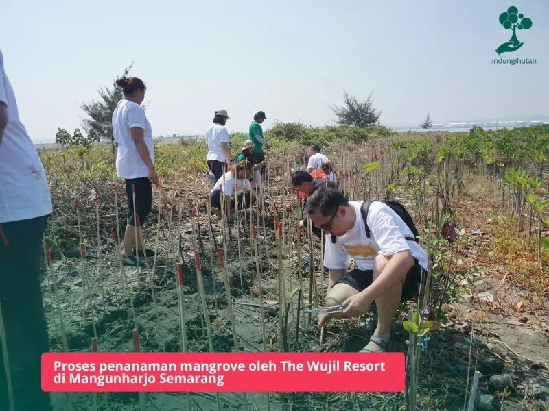 Program CSR The Wujil Resort & Conventions