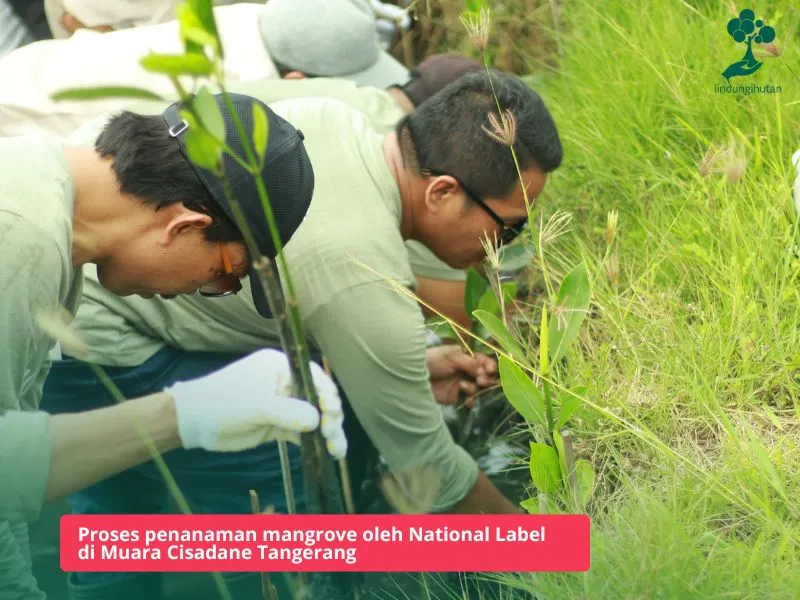 Penanaman mangrove National Label