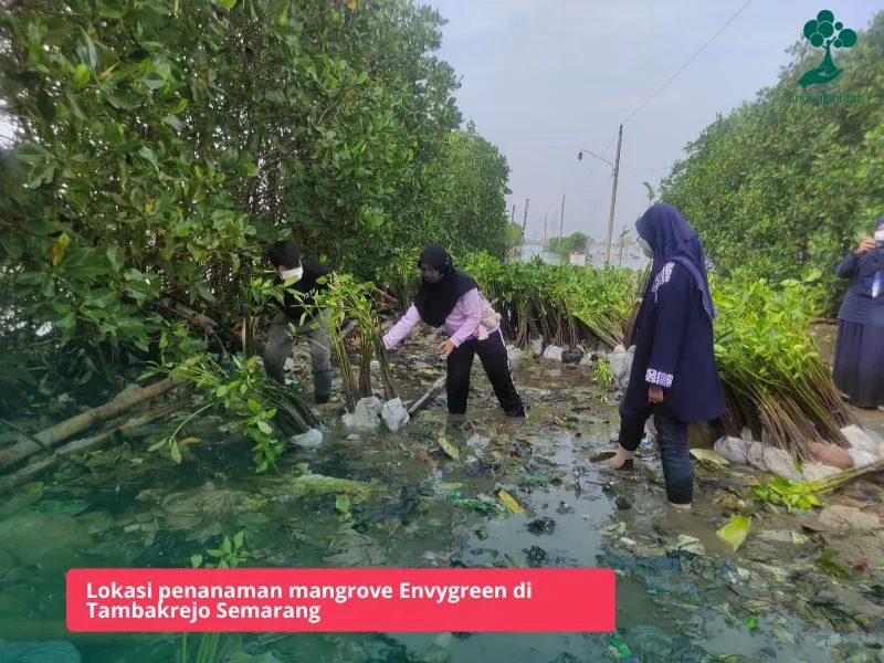 Pesisir Tambakrejo Semarang