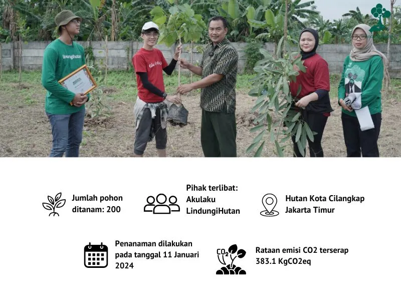 PT AKULAKU SILVRR INDONESIA menanam pohon