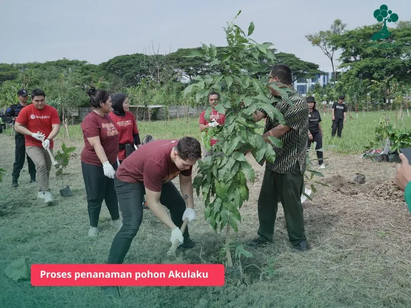 penanaman pohon PT AKULAKU SILVRR INDONESIA