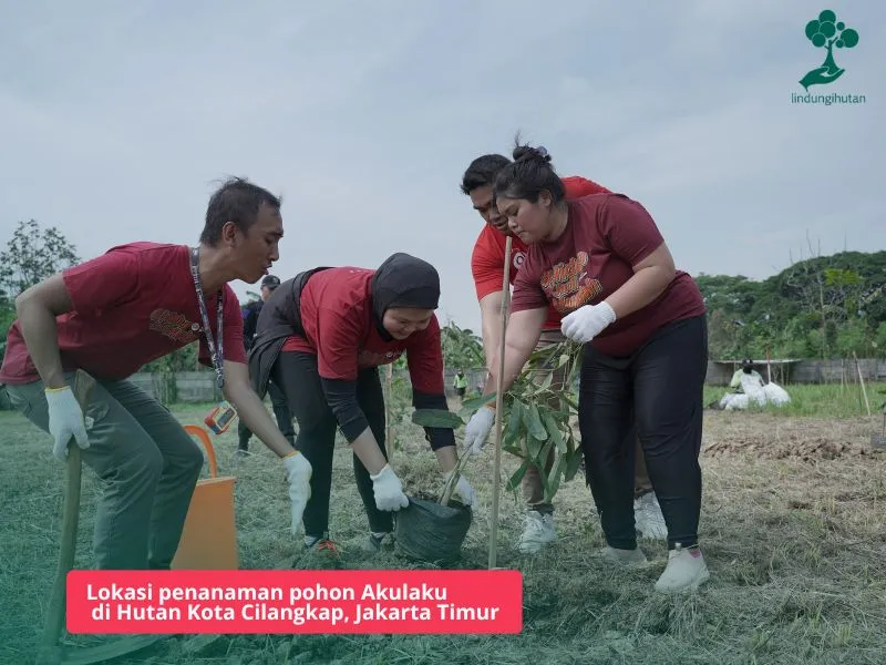 Hutan kota Cilangkap Jakarta Timur