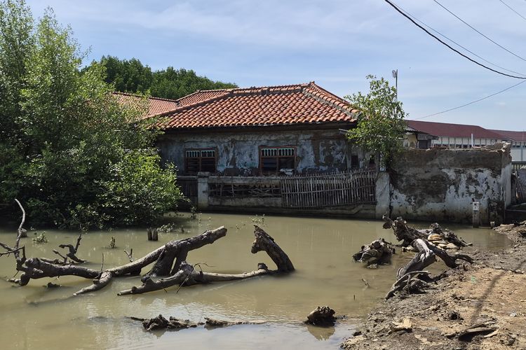 Kampung tenggelam di Desa Pantai Bahagia, Muara Gembong, Kabupaten Bekasi, Jawa Barat.(KOMPAS.com/ SHINTA DWI AYU)