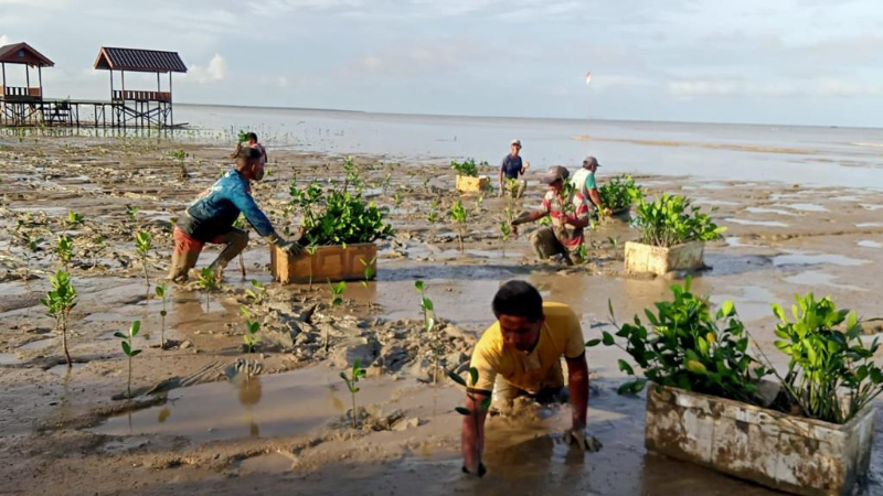 Penanaman oleh Mitra Petani - LindungiHutan