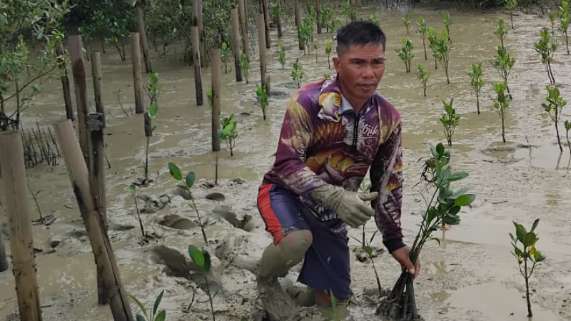 Penanaman oleh Mitra Petani - LindungiHutan