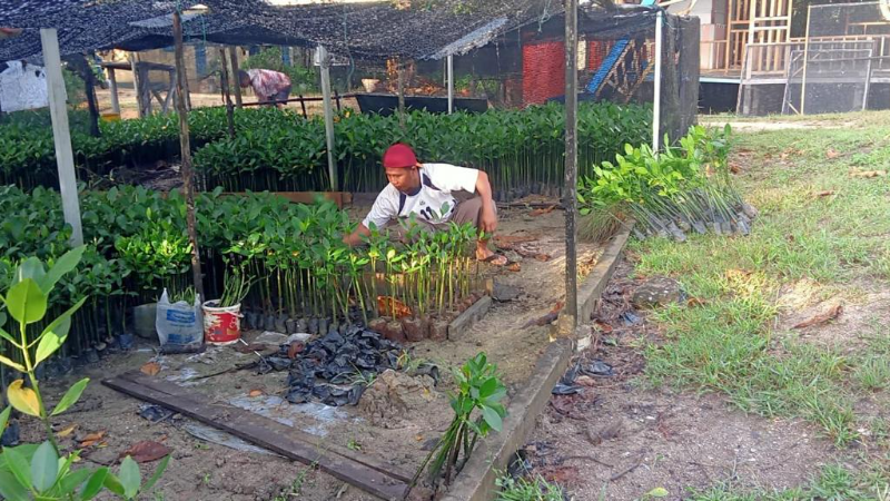 Lokasi Pembibitan Mangrove - LindungiHutan