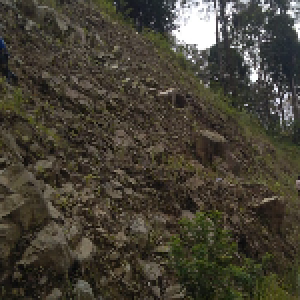 Gambar Lokasi 1 - LindungiHutan