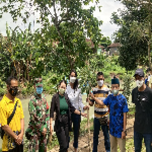 Penanaman kampanye alam - LindungiHutan
